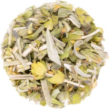 Griechischer Bergtee Bio – Natürlicher Kräutertee aus den Bergen Griechenlands