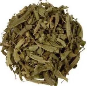 Lemon Verbena Tea – Fresh Herbal Tea with Citrus Flavor