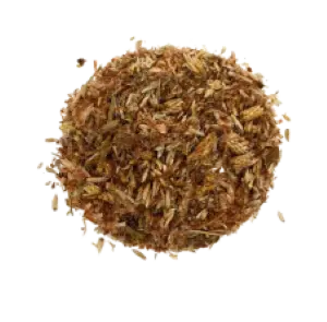 Tisane d’Aiguilles de Pin – Infusion Naturelle de Pin